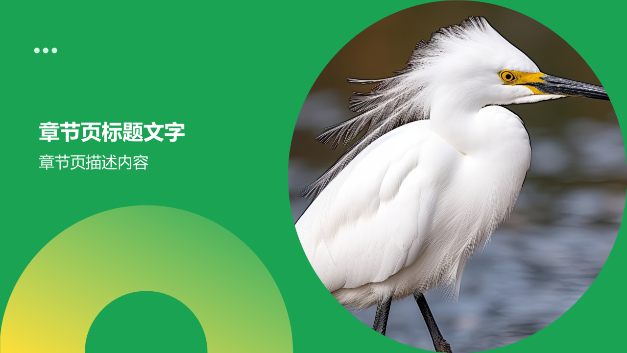 绿色摄影风动物保护知识科普PPT
