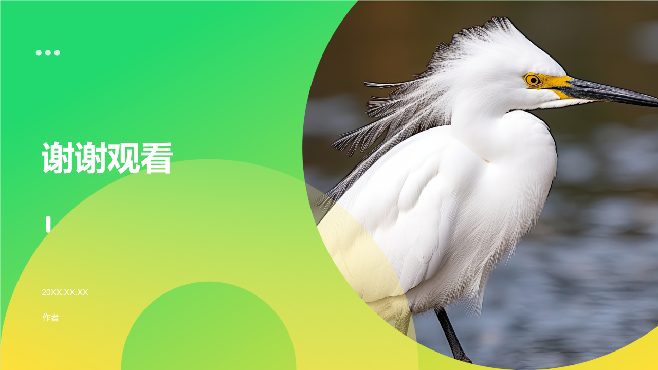 绿色摄影风动物保护知识科普PPT