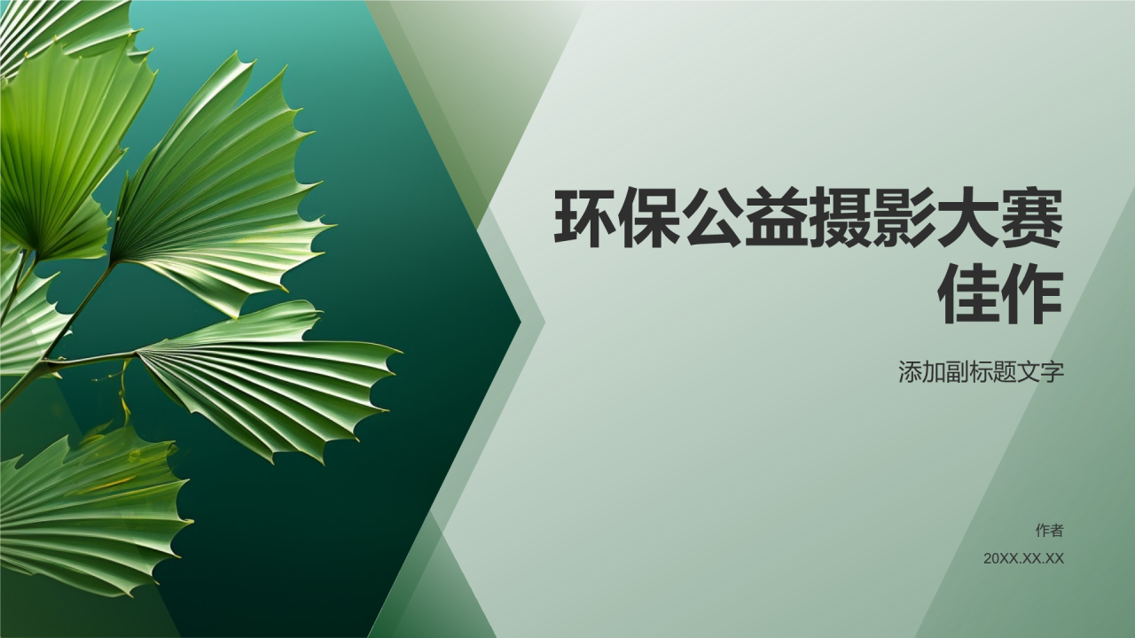 环保公益摄影大赛佳作