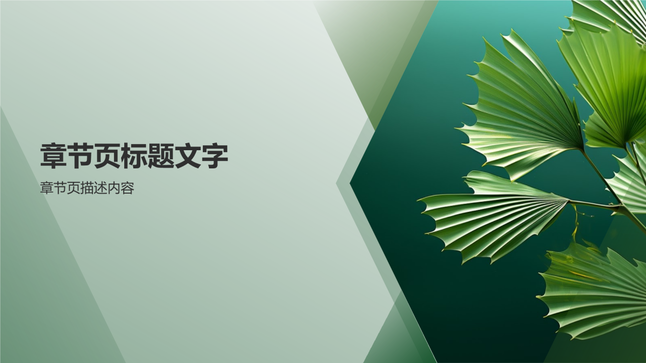 环保公益摄影大赛佳作