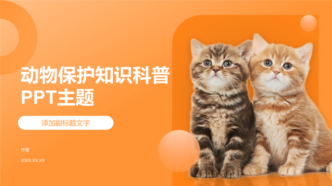 动物保护知识科普PPT主题