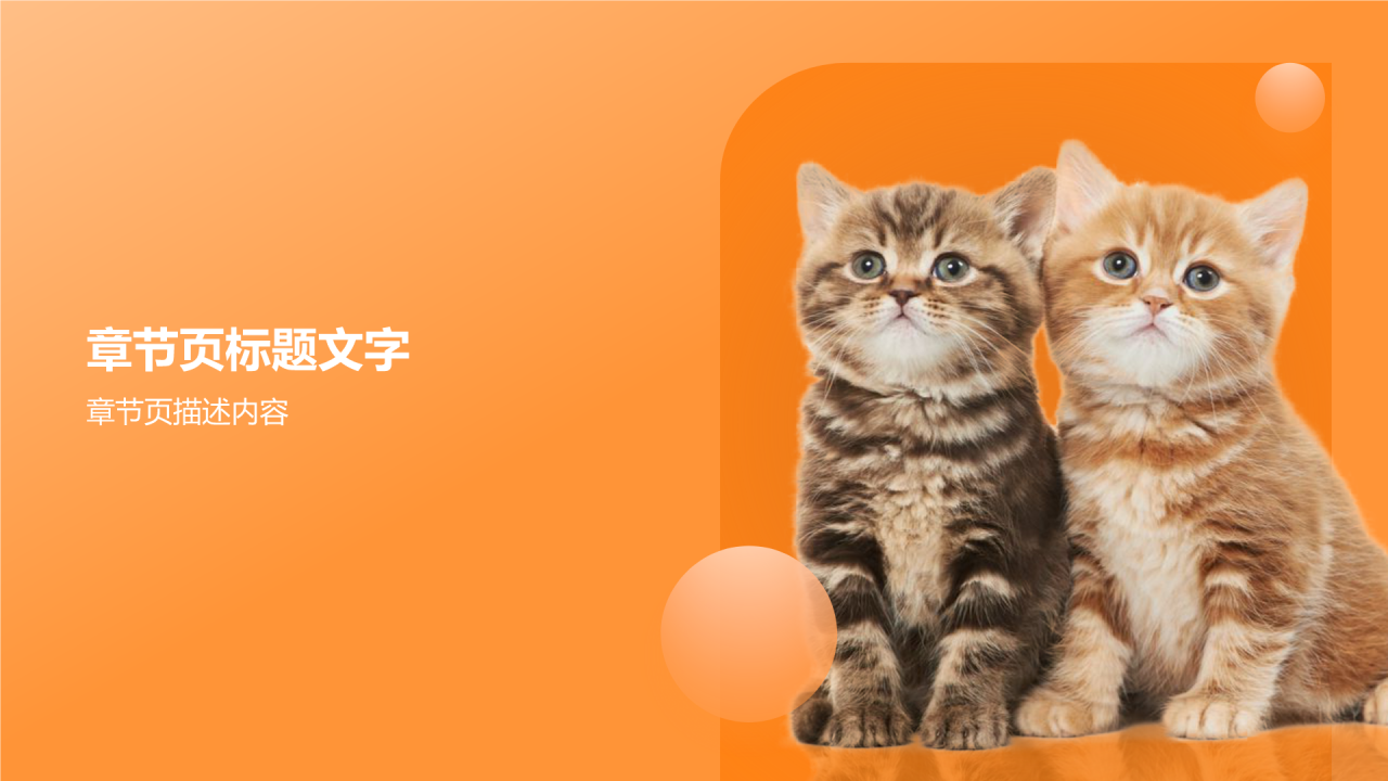 动物保护知识科普PPT主题