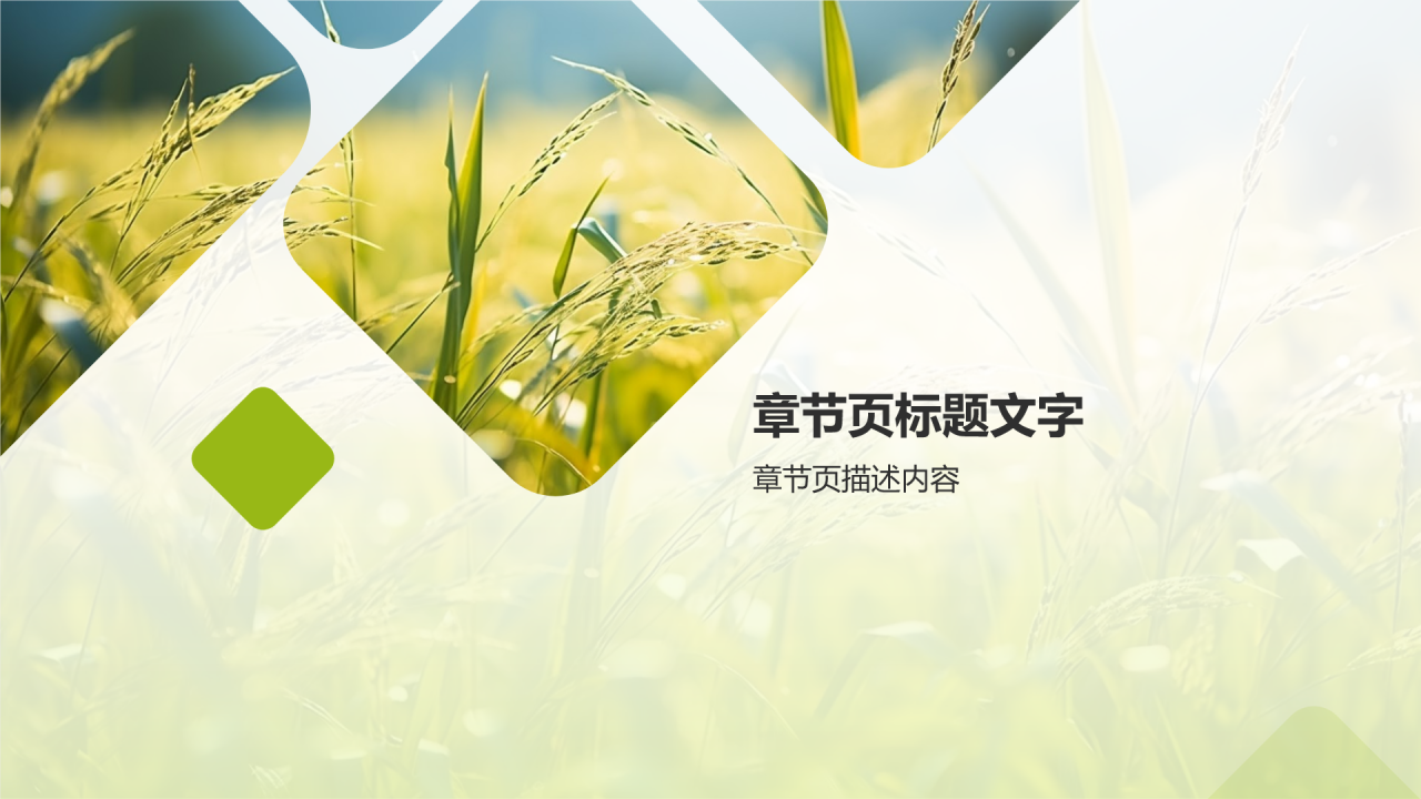 农林牧渔产业扶贫模式探讨