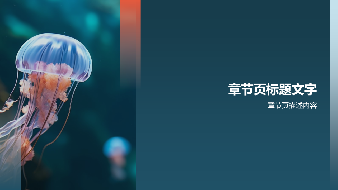 保护海洋
PPT主题