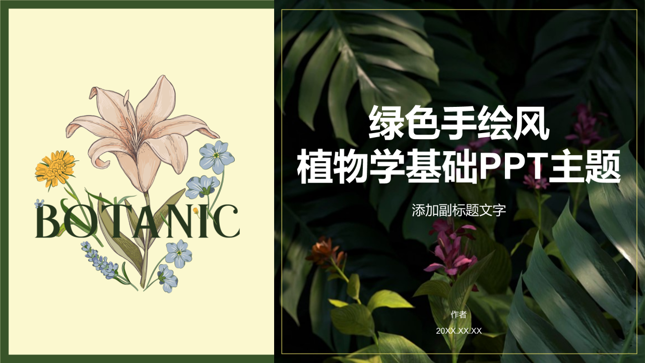 绿色手绘风植物学基础PPT主题