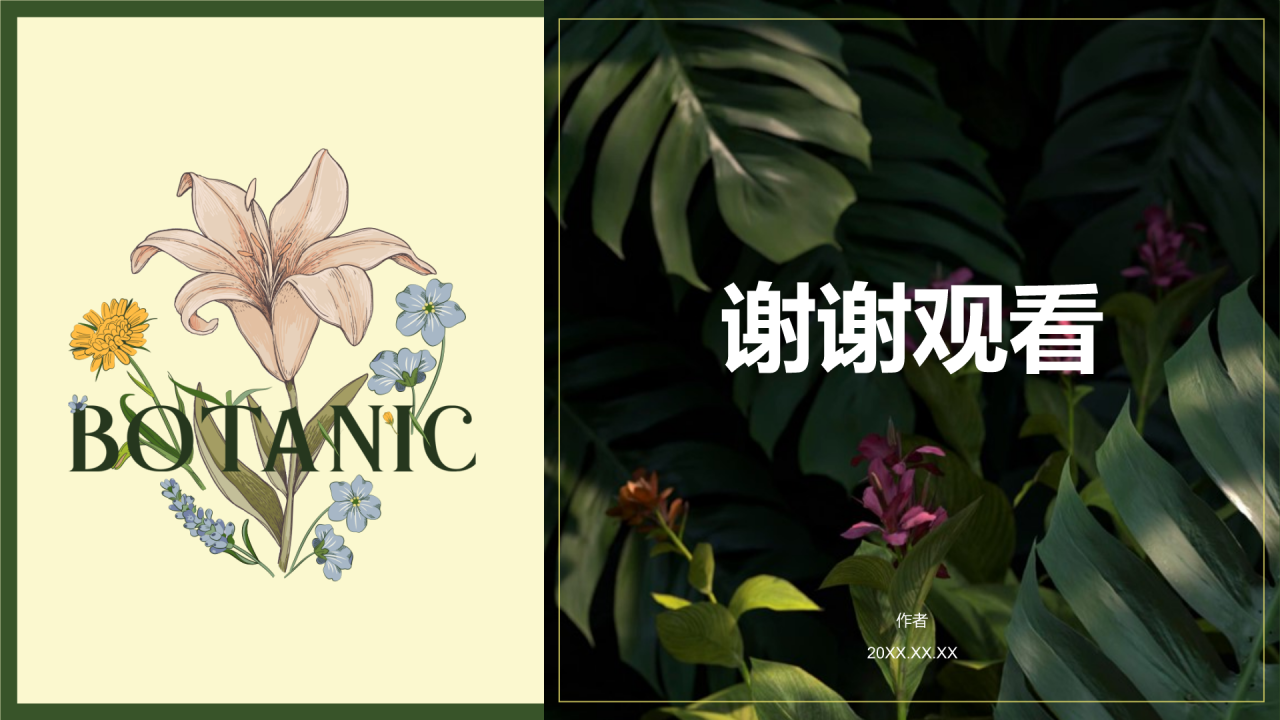 绿色手绘风植物学基础PPT主题