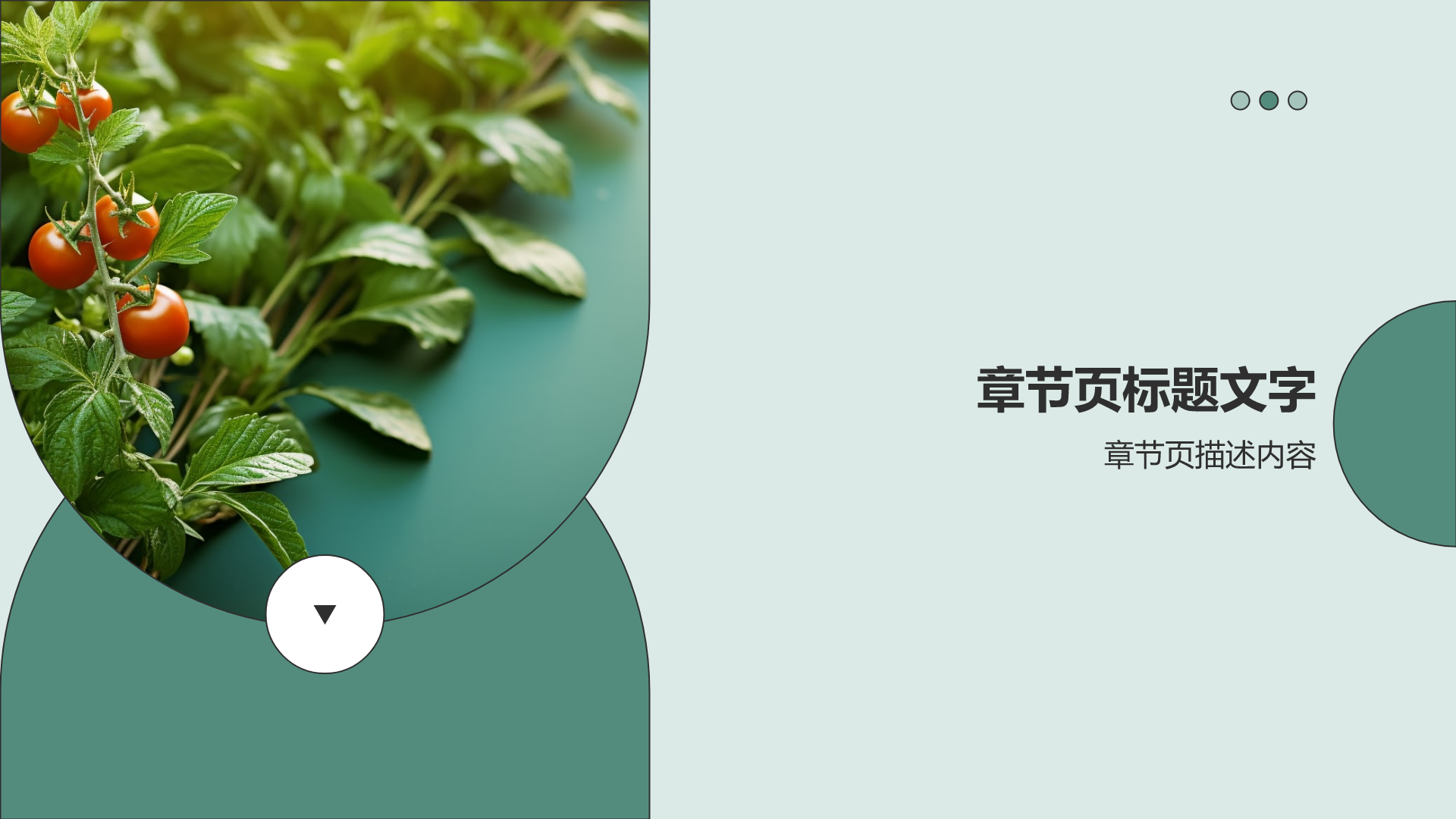 赛事健康营销策划