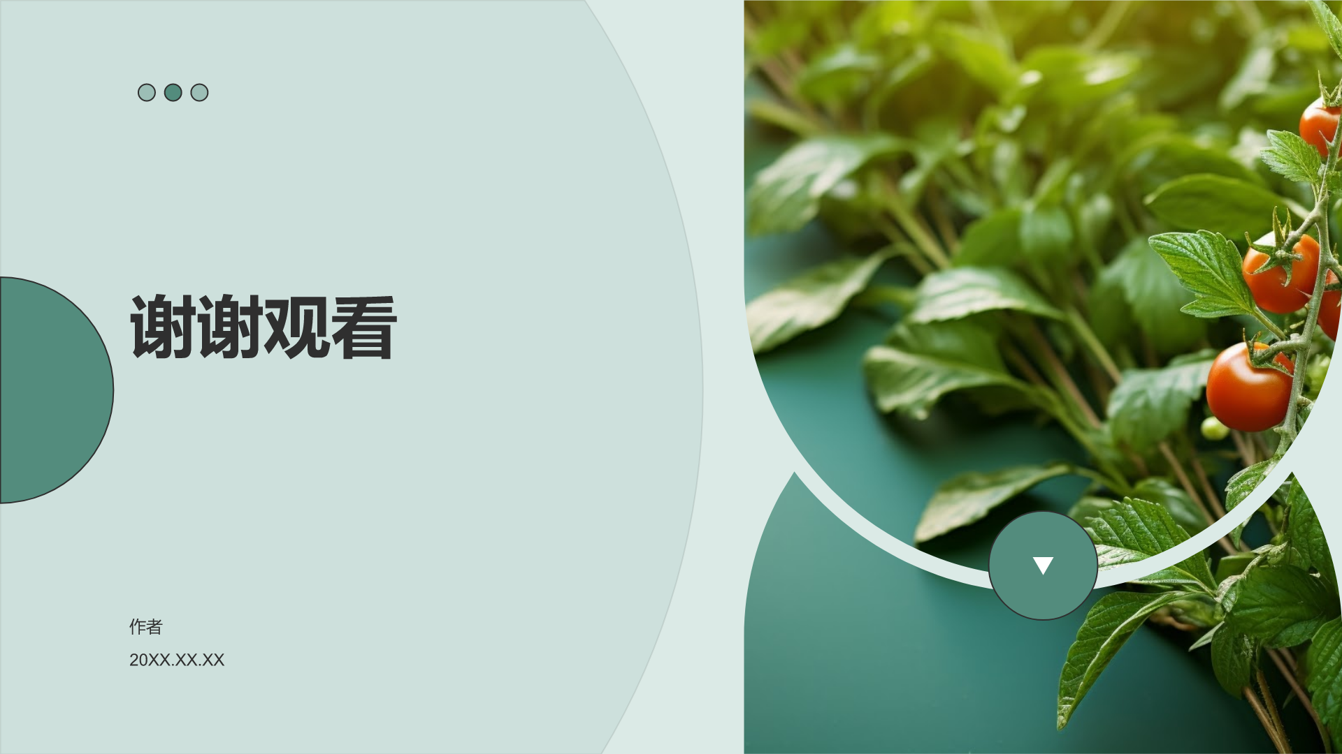 赛事健康营销策划