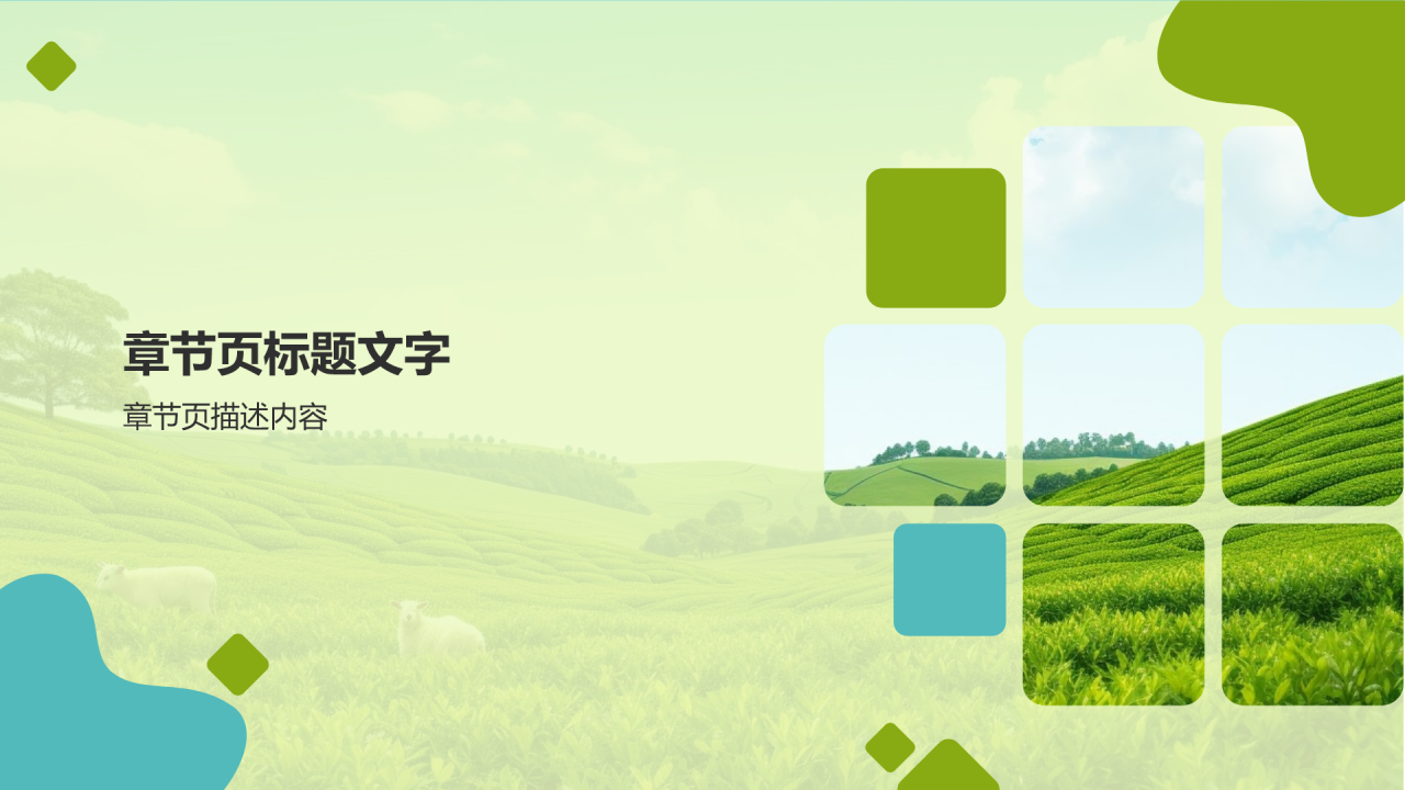 农业补贴政策解读PPT