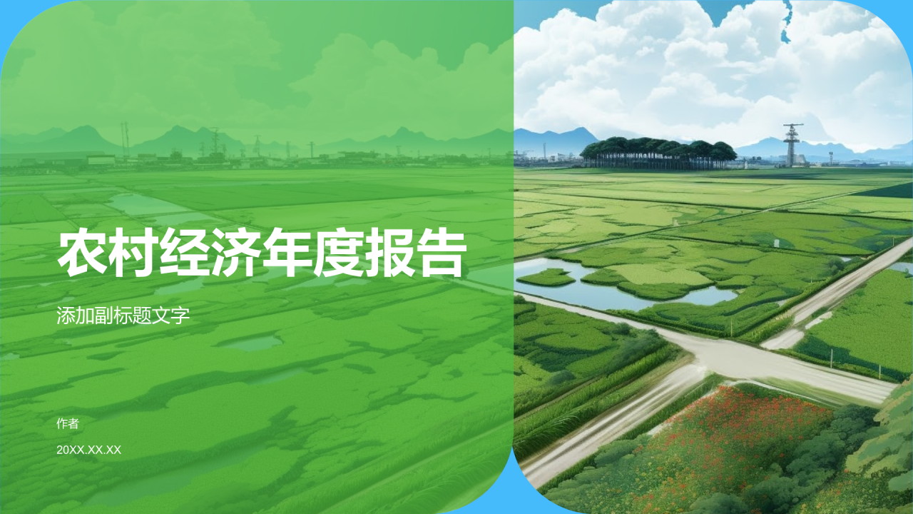 农村经济年度报告