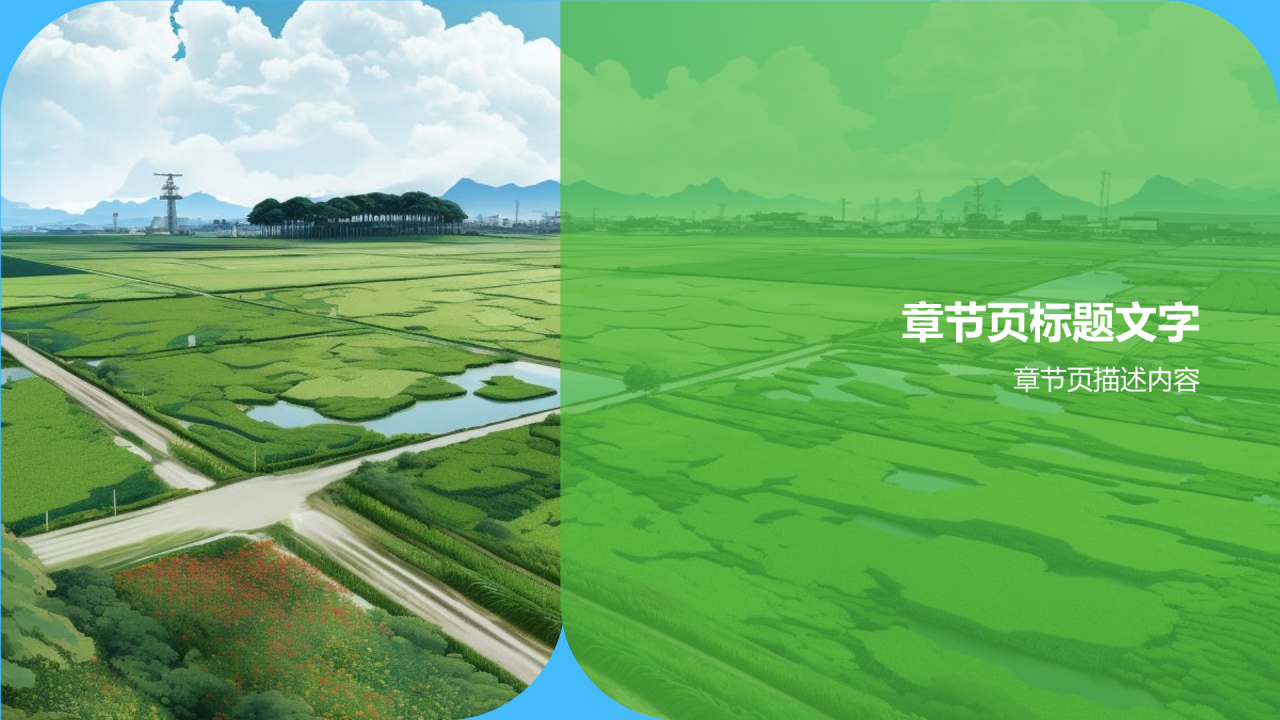 农村经济年度报告