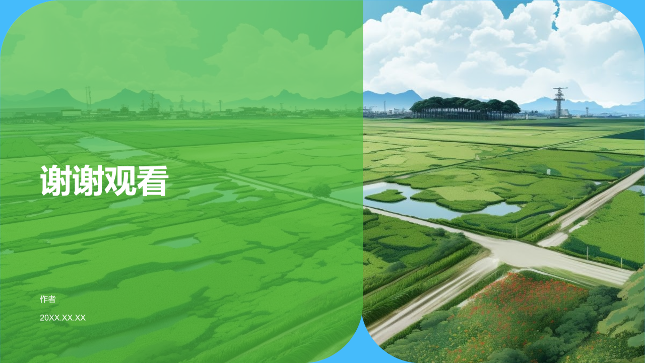 农村经济年度报告