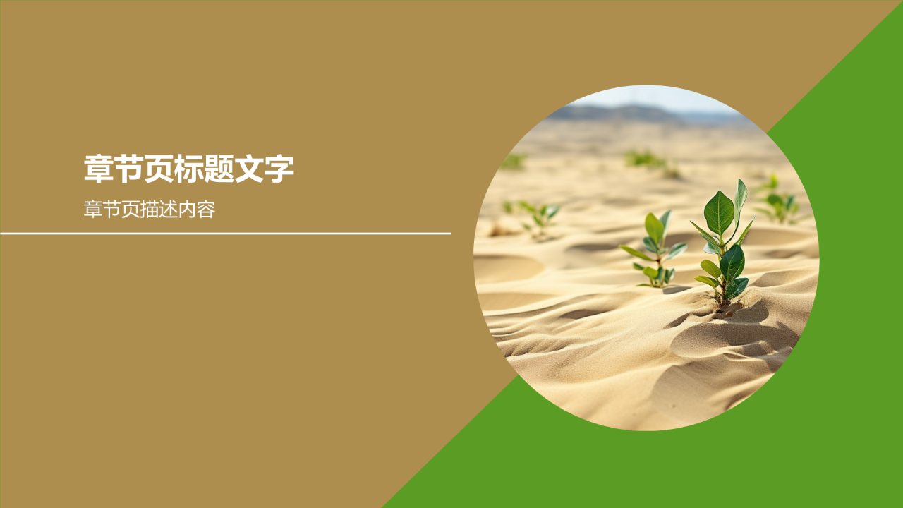环保实践活动