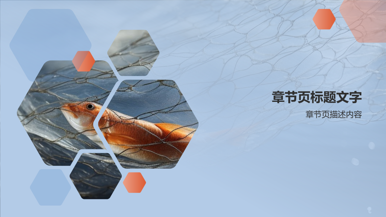 渔业年终工作汇报PPT