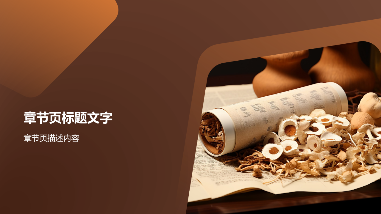 中医的传承与发展PPT主题