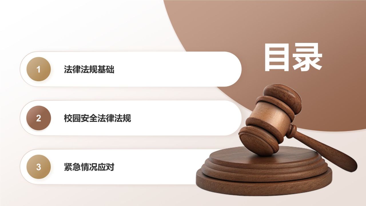 棕色简约风大学生必知的安全法律法规PPT模板