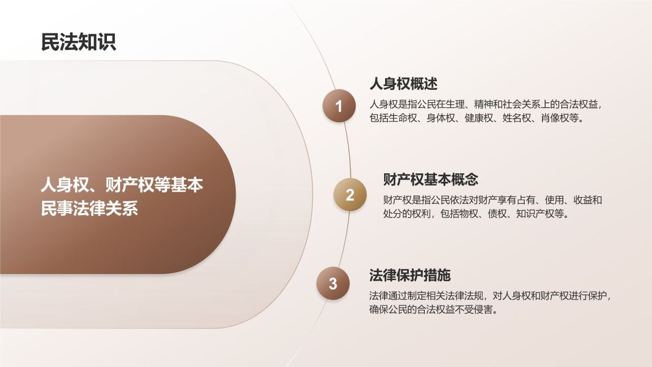棕色简约风大学生必知的安全法律法规PPT模板
