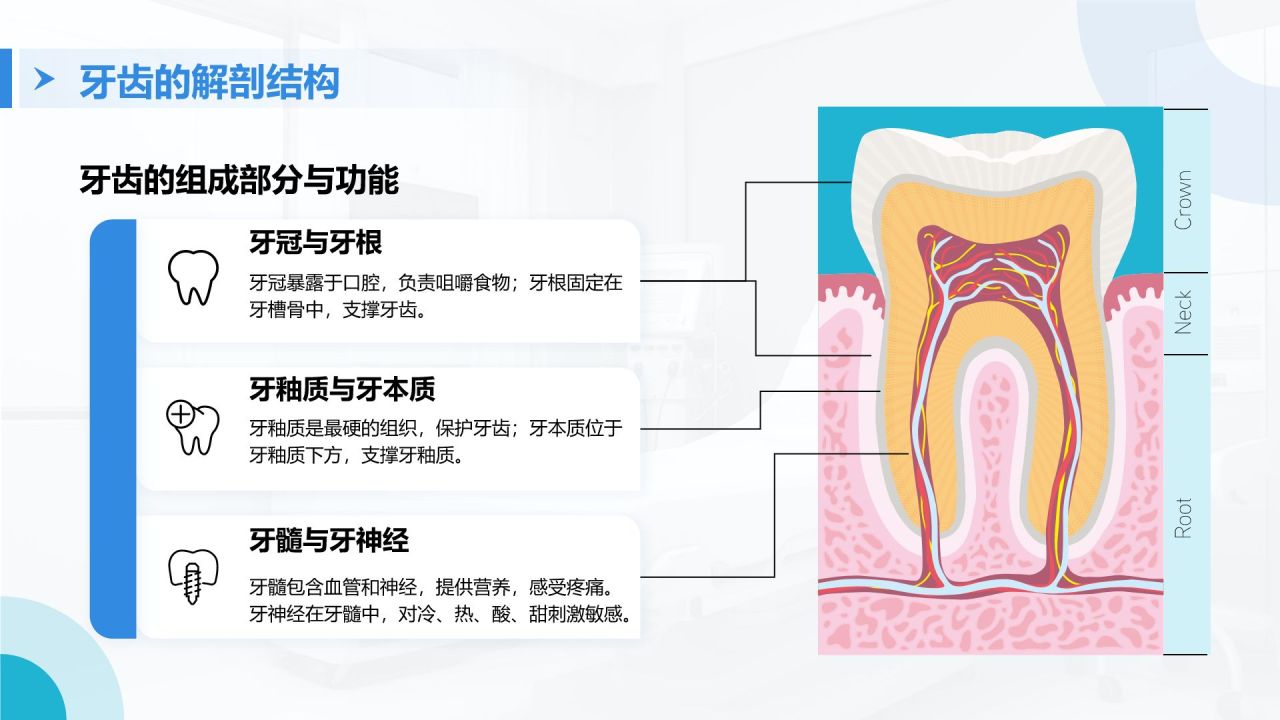 蓝色商务风牙齿护理与疾病预防PPT模板