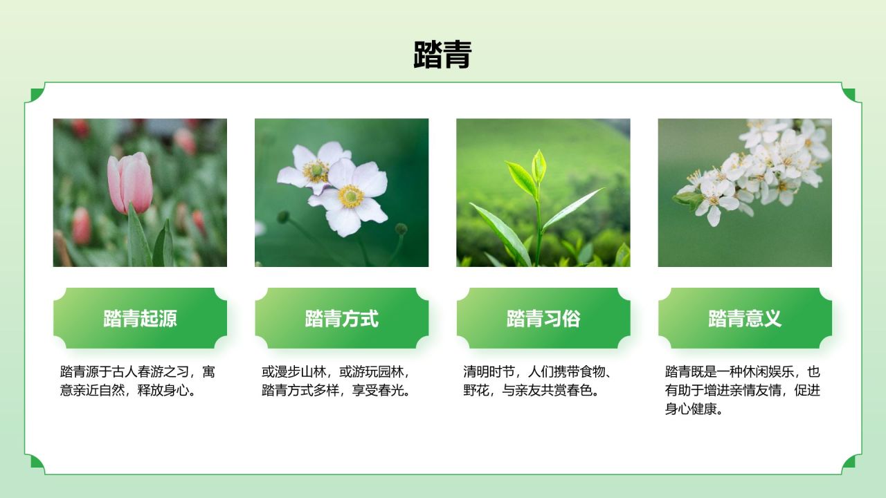 绿色国潮风二十四节气之清明节PPT模板