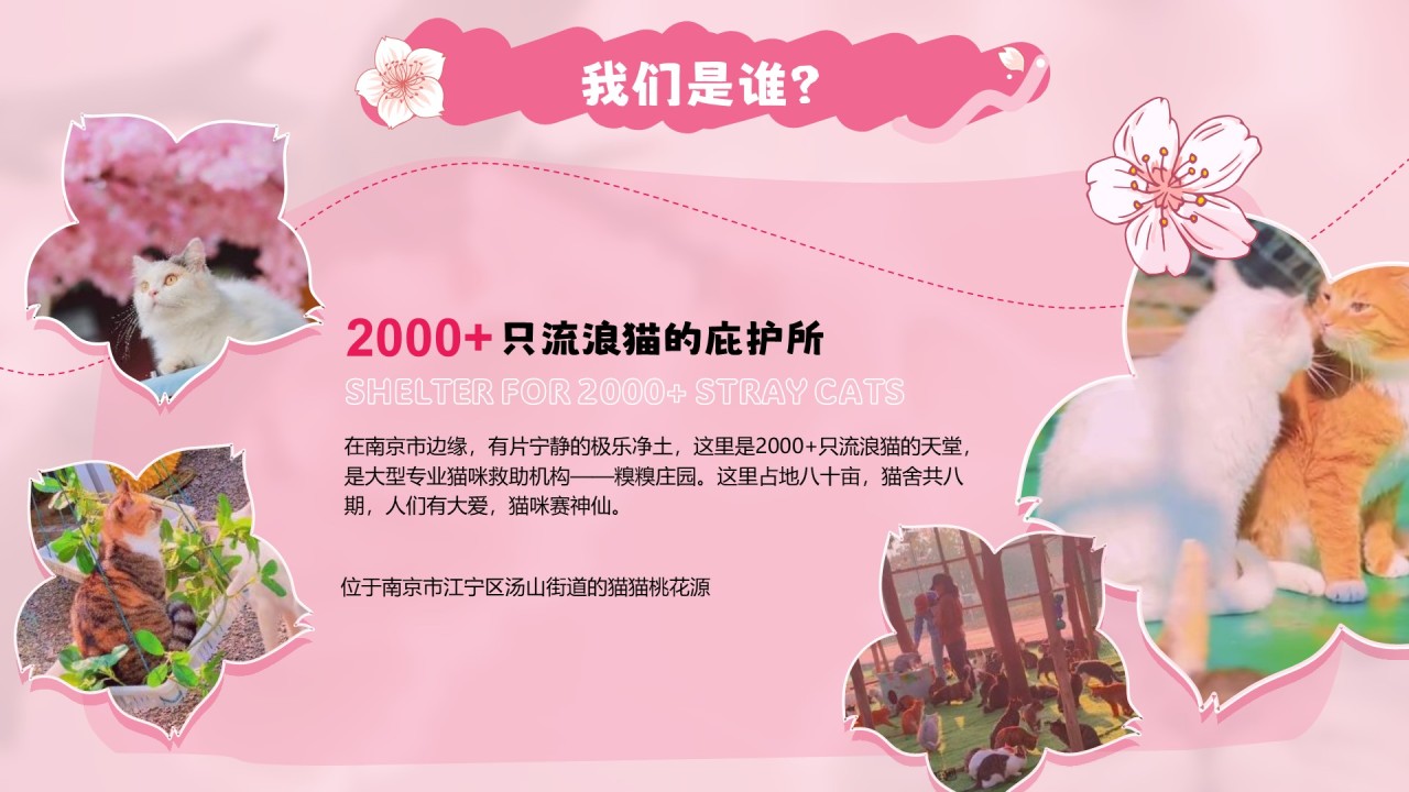 粉色公益宣传糗糗桃花源
