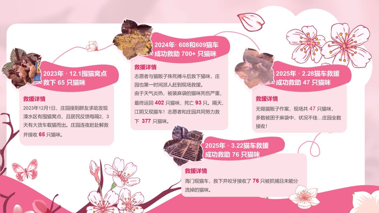 粉色公益宣传糗糗桃花源