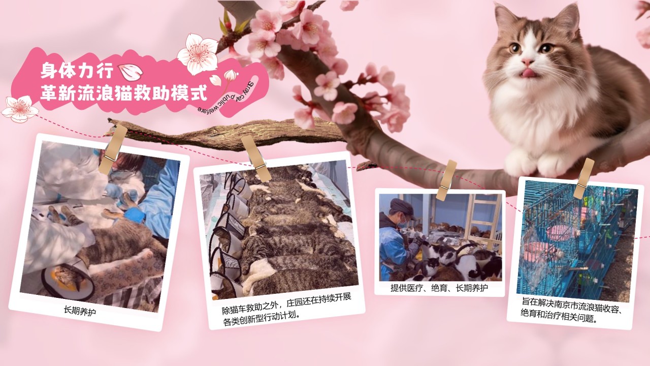 粉色公益宣传糗糗桃花源