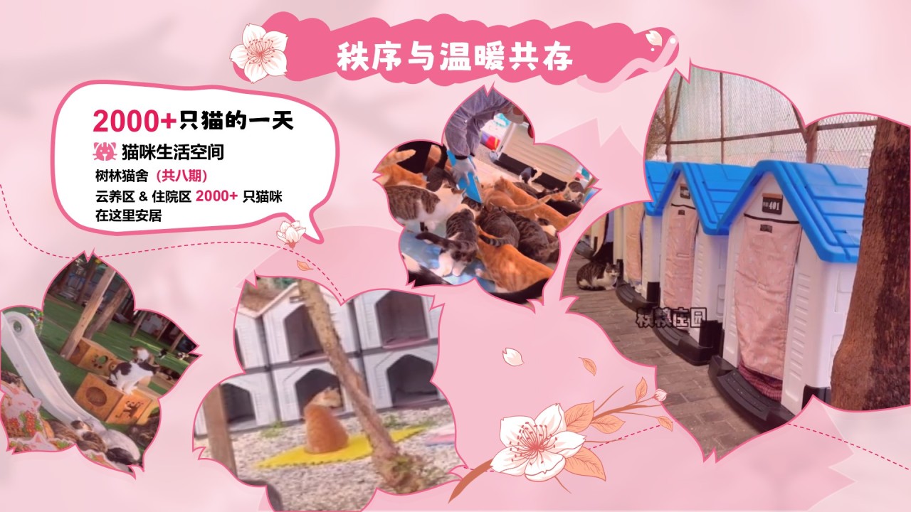 粉色公益宣传糗糗桃花源