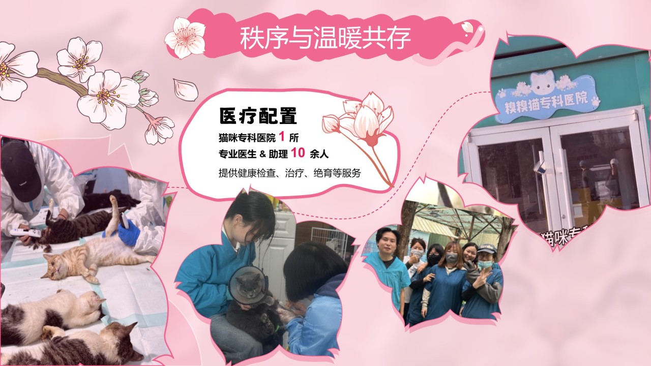 粉色公益宣传糗糗桃花源