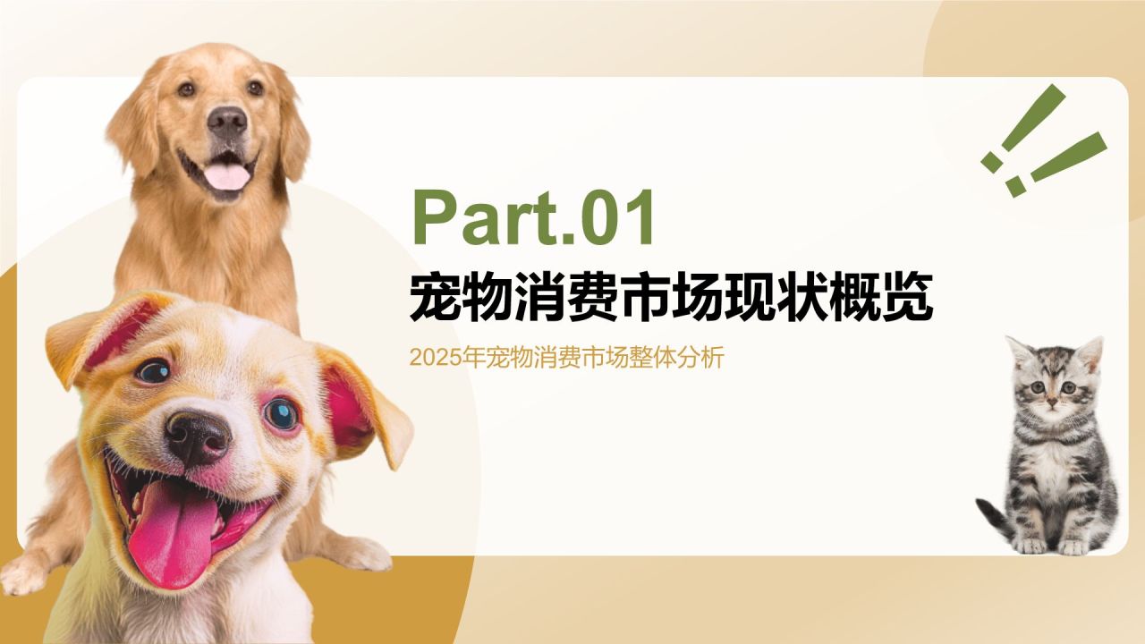 橙色创意风2025年宠物消费报告PPT模板
