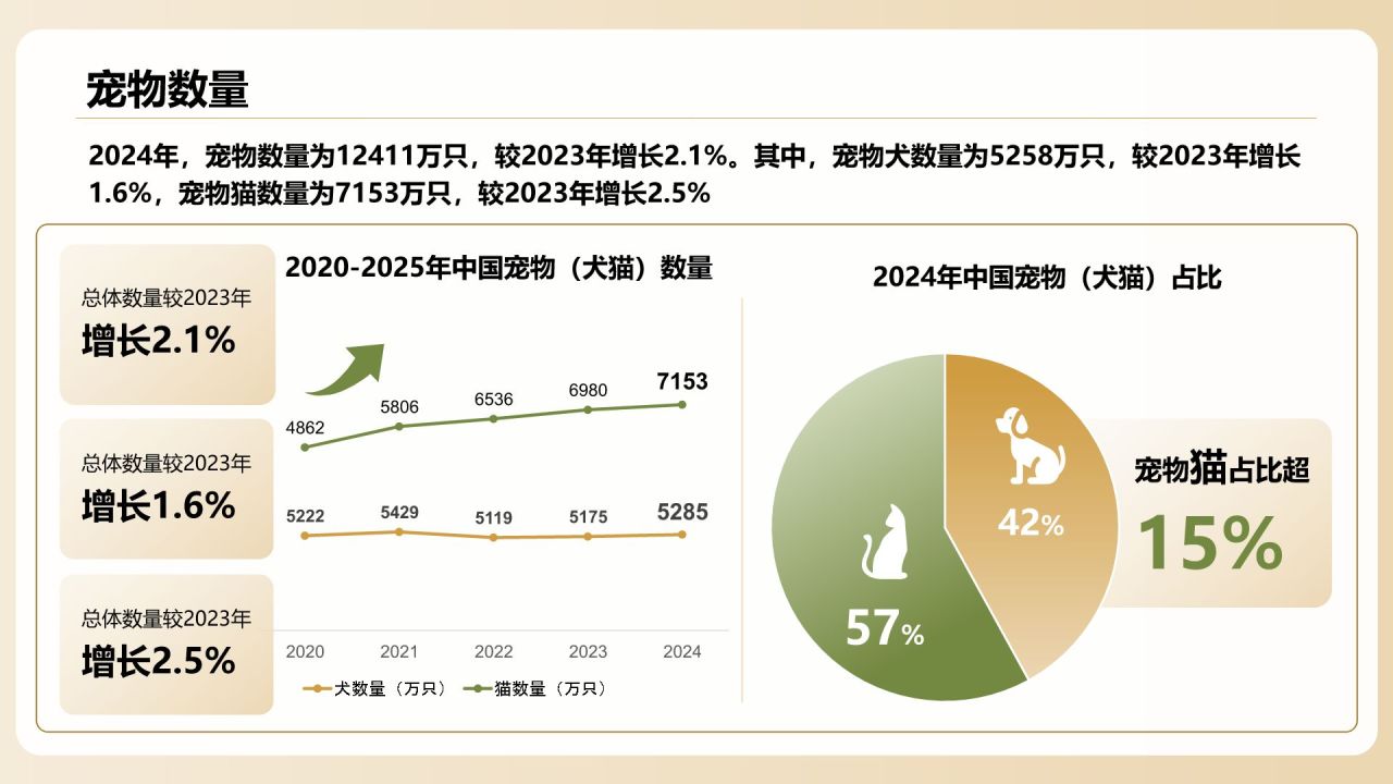 橙色创意风2025年宠物消费报告PPT模板