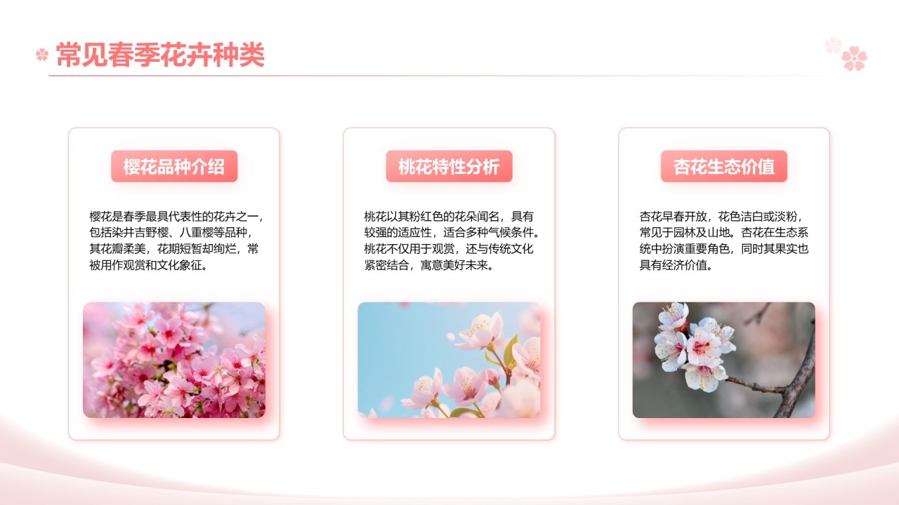 粉色实景风春季花卉主题汇报PPT模板