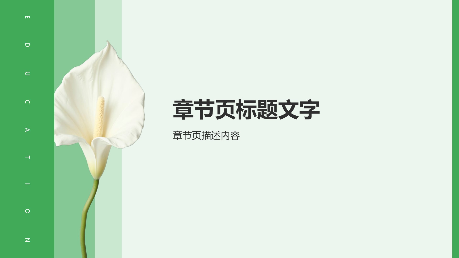 绿色小清新教育培训知识科普PPT