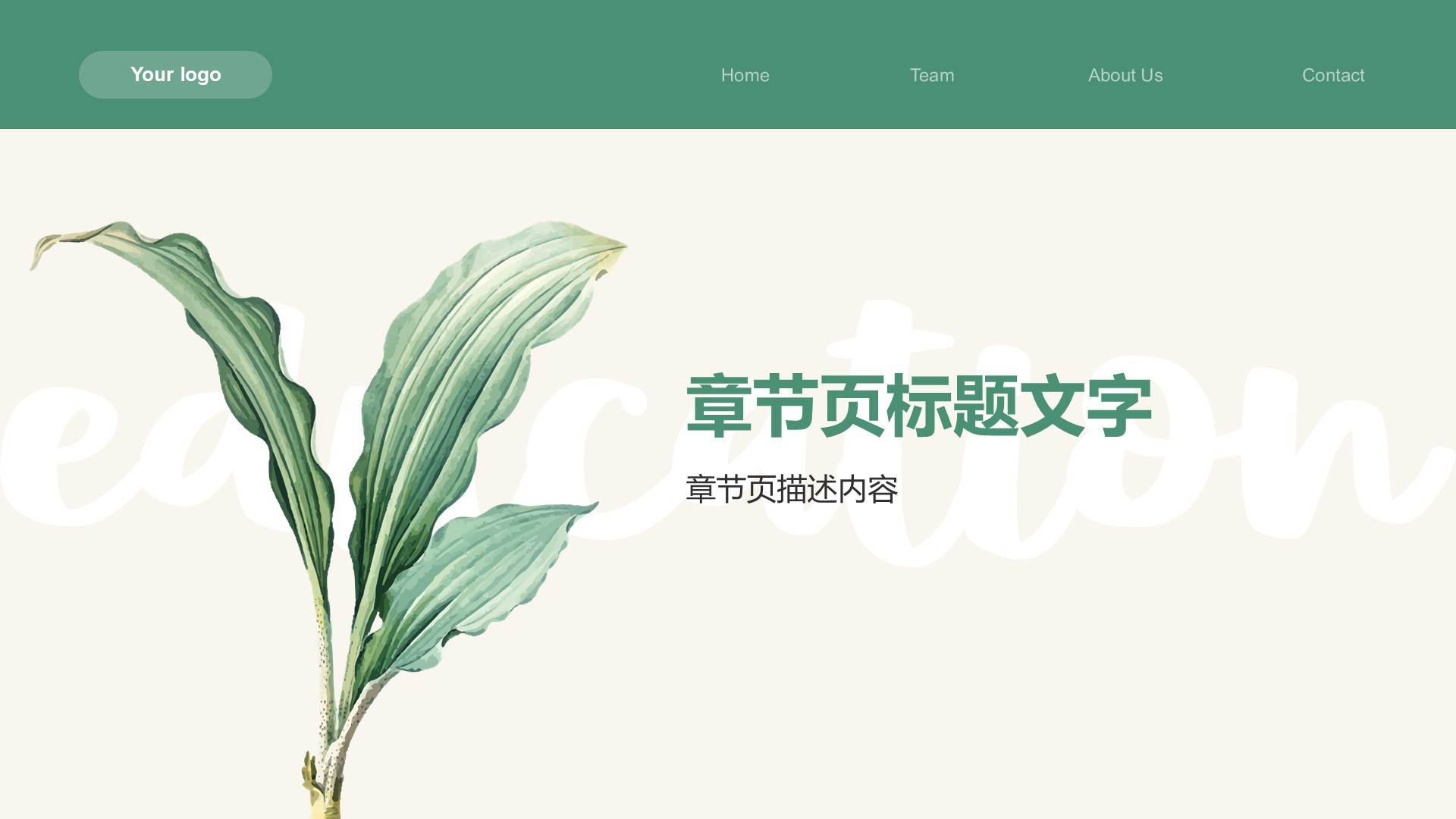 教育培训知识科普PPT主题
