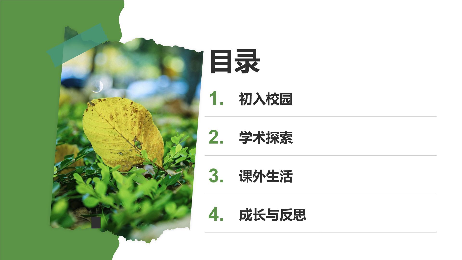 绿色摄影风我的大学生活与成长故事PPT模板