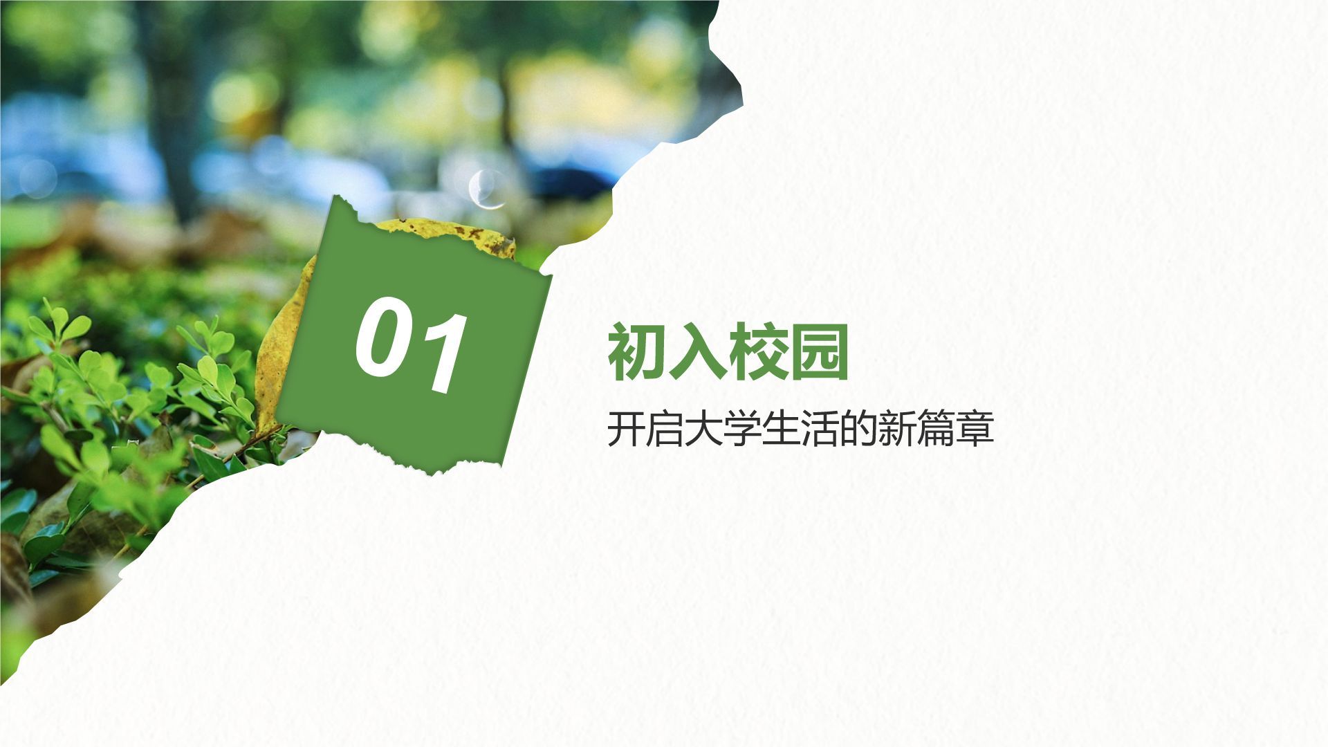 绿色摄影风我的大学生活与成长故事PPT模板