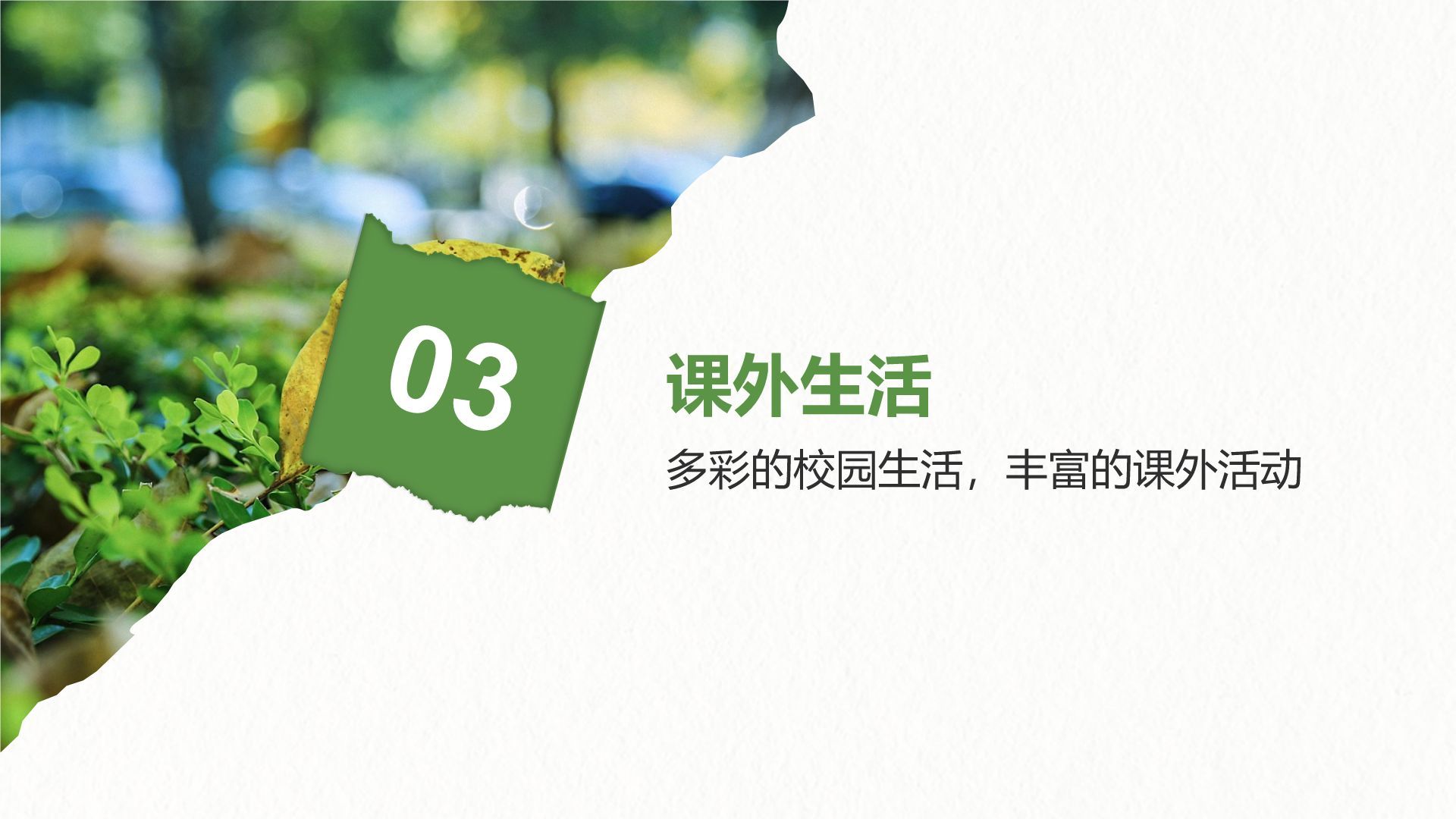 绿色摄影风我的大学生活与成长故事PPT模板