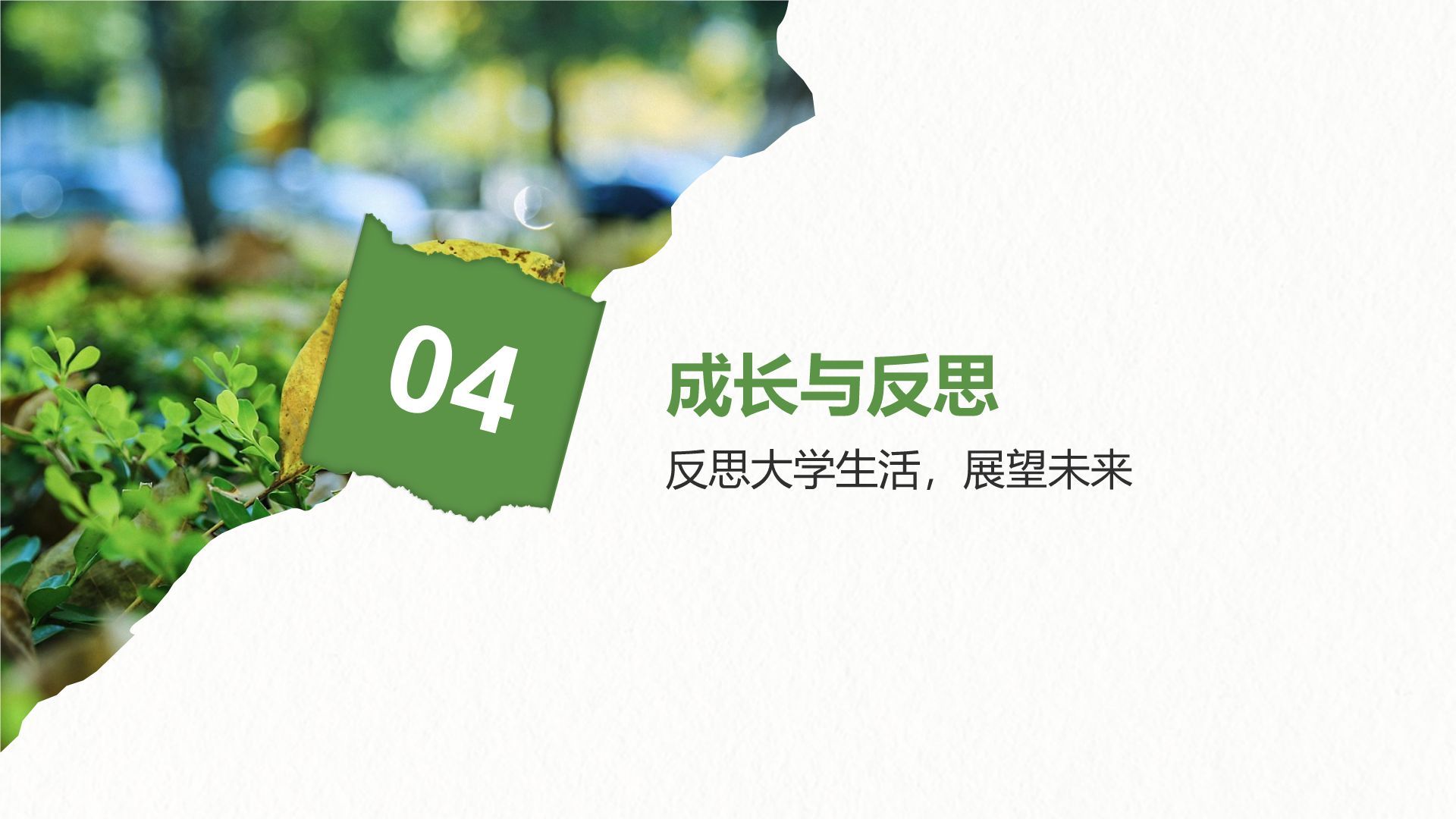 绿色摄影风我的大学生活与成长故事PPT模板