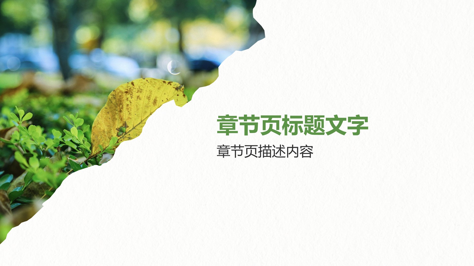 我的大学生活与成长故事PPT主题