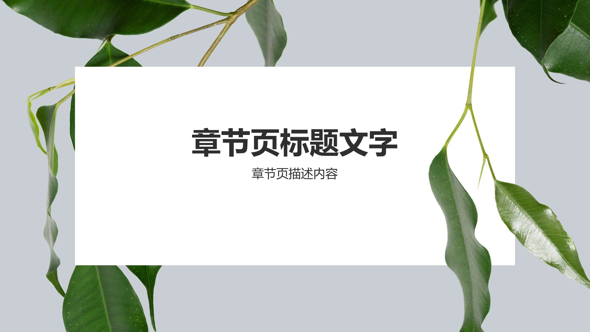 环保公益行业营销方案PPT主题