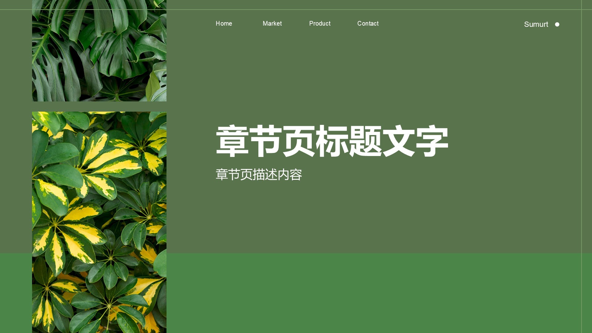 环保公益行业活动策划PPT主题