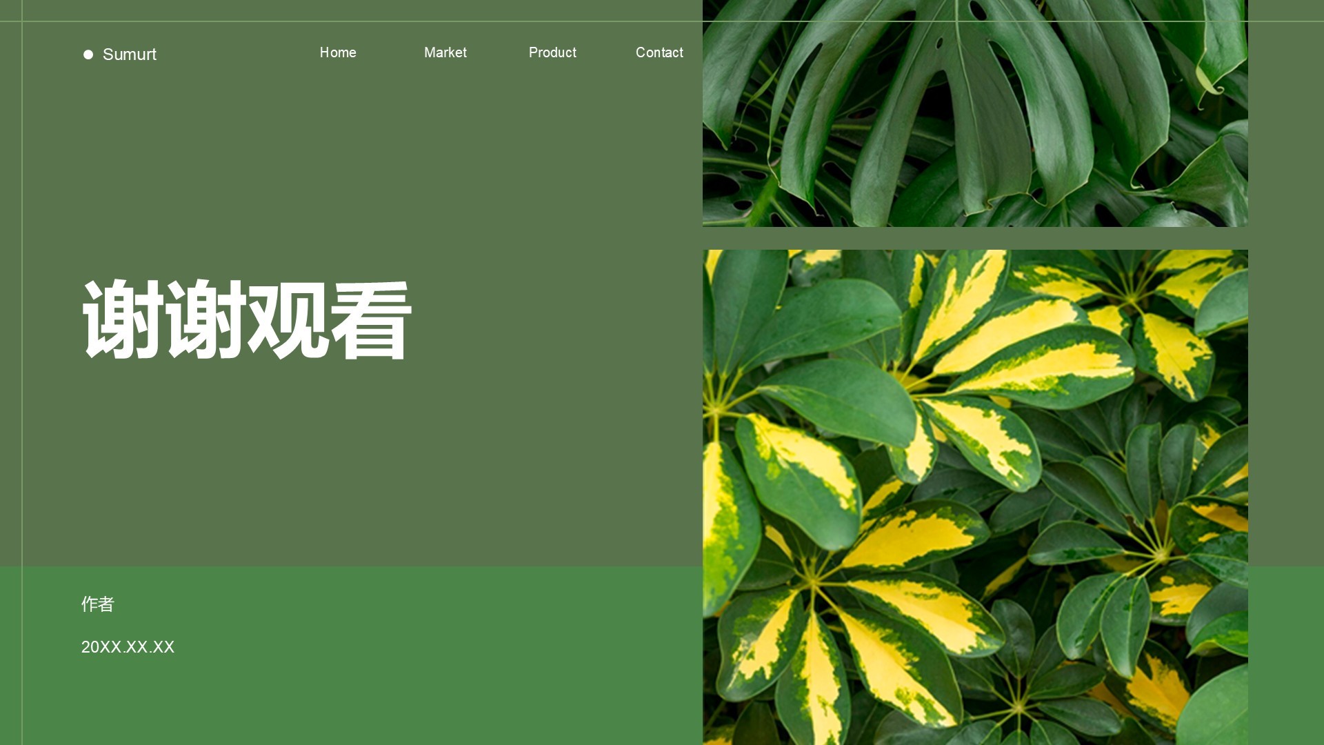 环保公益行业活动策划PPT主题