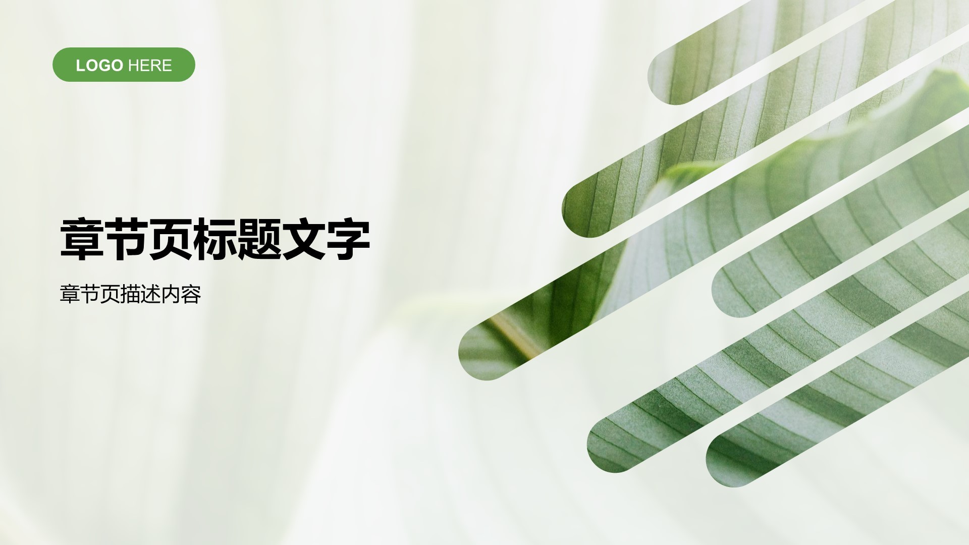 绿色小清新通用行业培训课件PPT