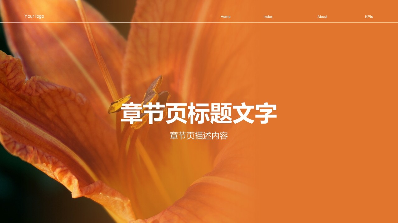 橙色时尚/奢华通用行业画册画报PPT主题