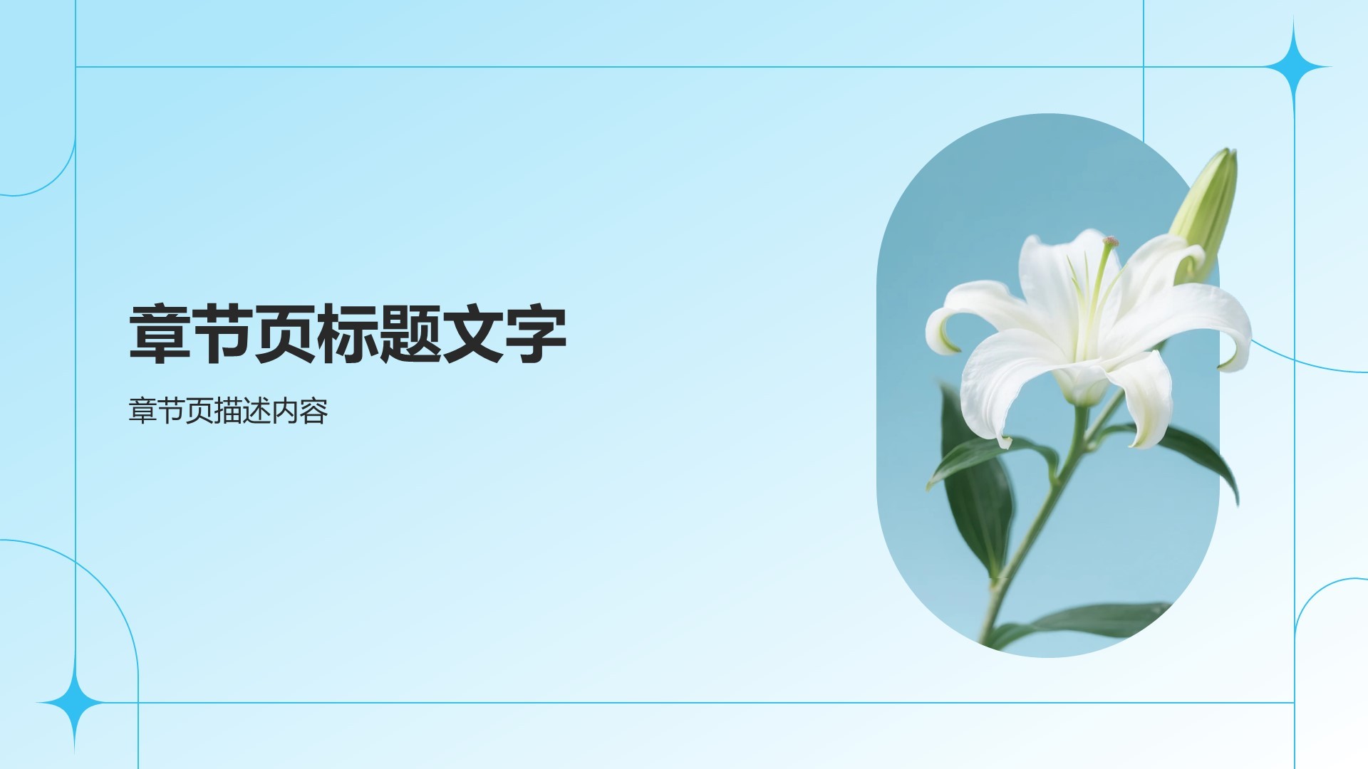 通用行业活动策划方案PPT主题