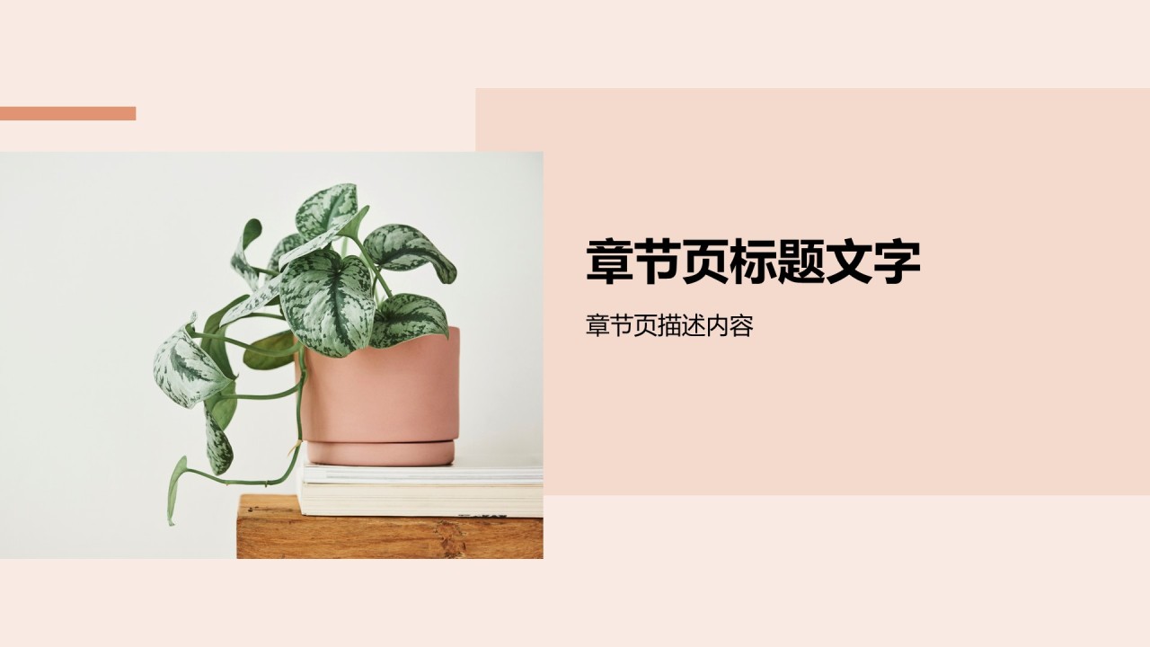 通用行业活动策划方案PPT主题
