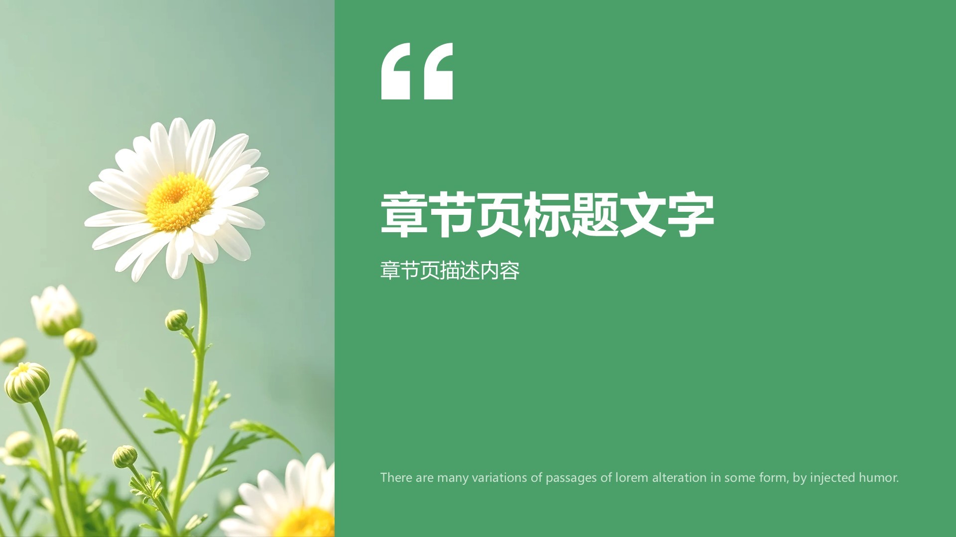 绿色小清新通用行业活动策划方案PPT