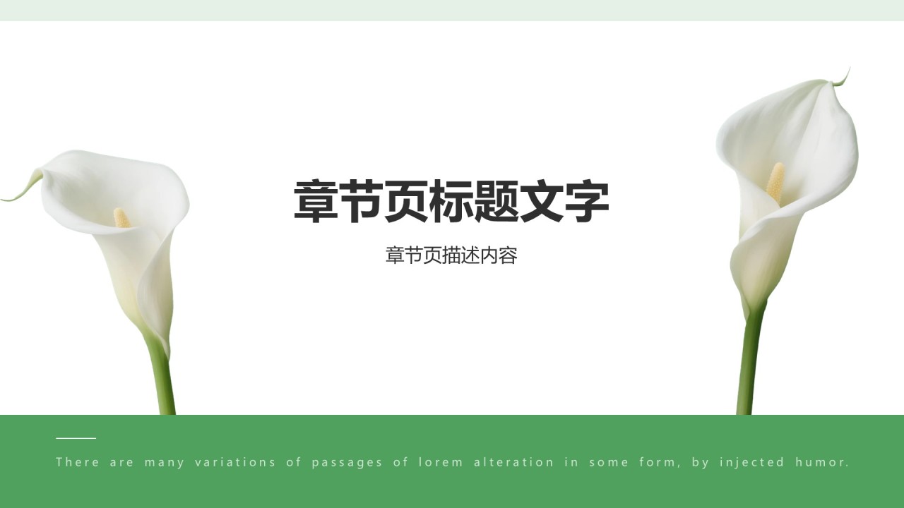 通用行业活动策划方案PPT主题