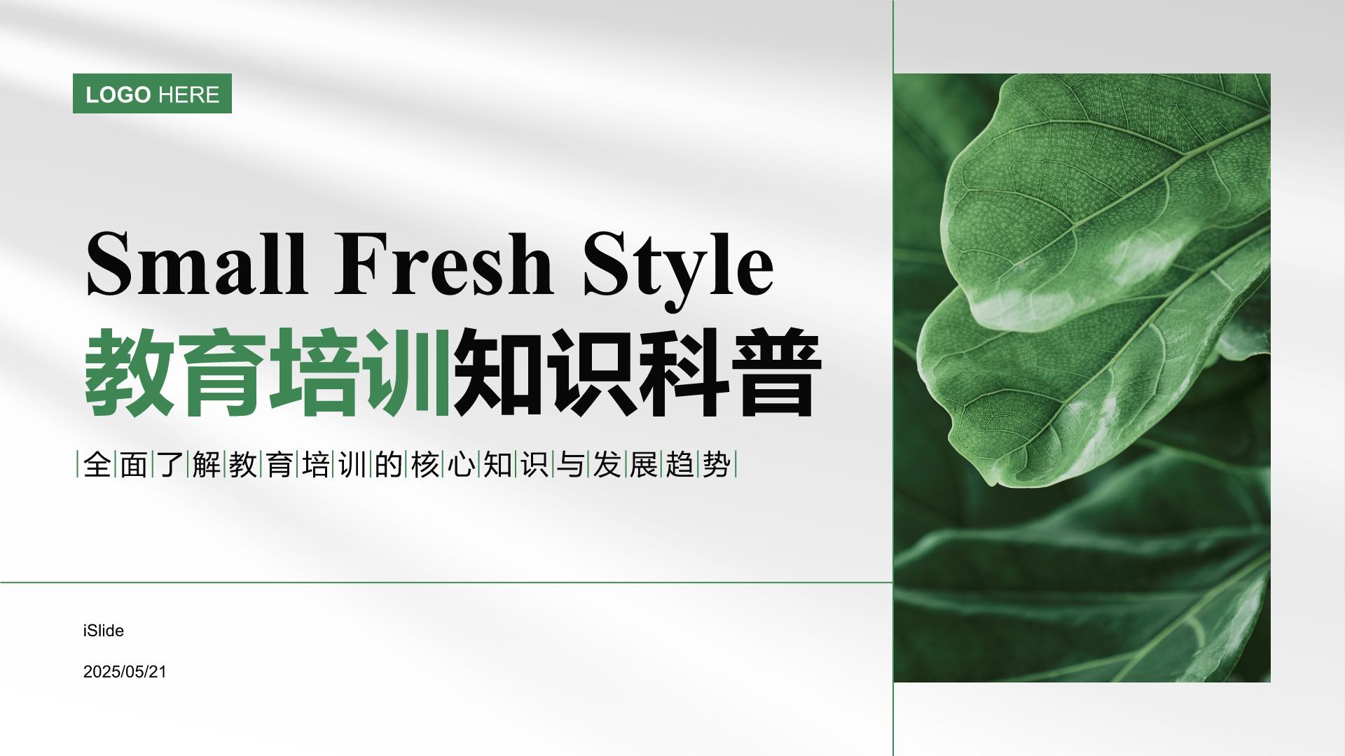 绿色小清新教育培训知识科普PPT模板