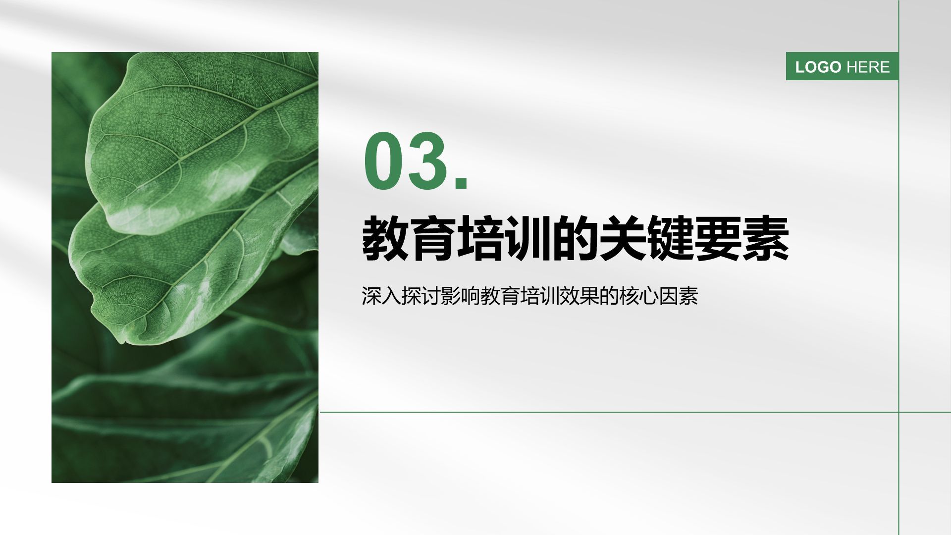 绿色小清新教育培训知识科普PPT模板