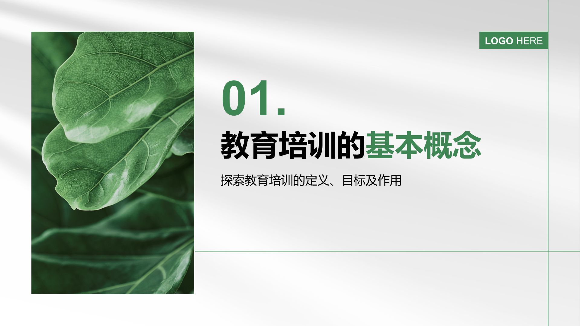 绿色小清新教育培训知识科普PPT模板